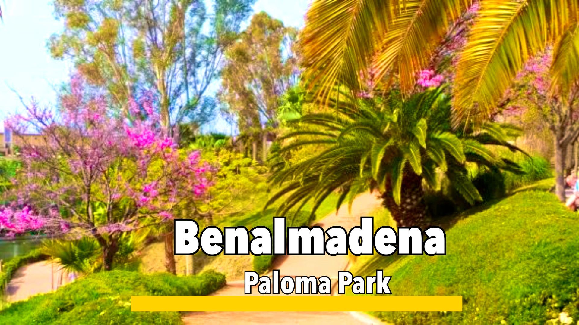 Puerto Benalmádena marina with luxury yachts, waterfront restaurants, and vibrant shops along the Costa del Sol