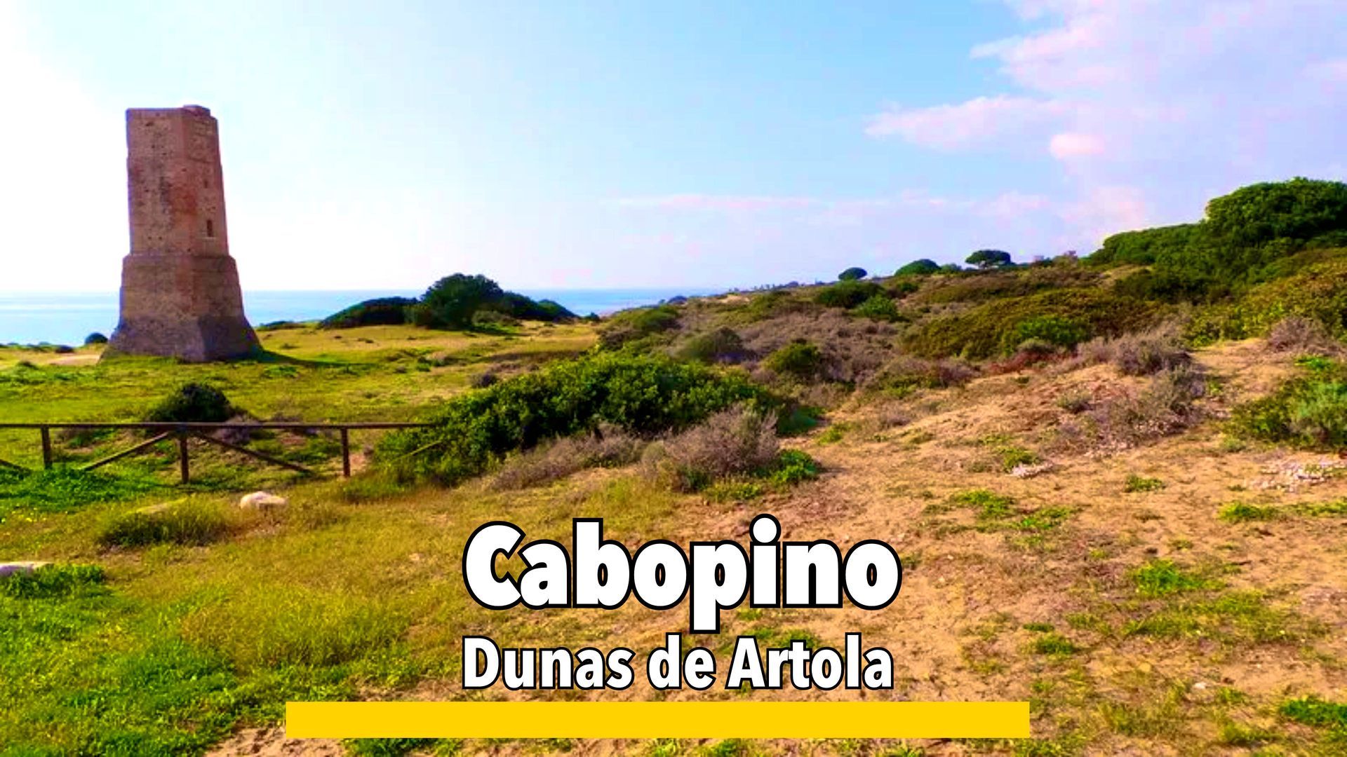 Dunas de Artola, a protected natural dune area in Marbella with scenic sandy landscapes, native vegetation, and pathways near Cabopino Beach