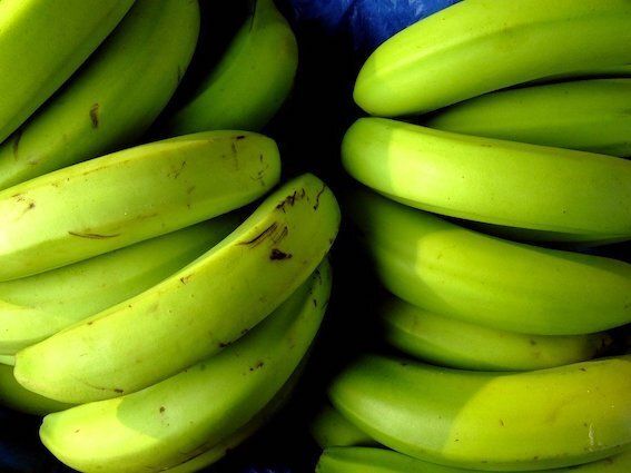 Doigts de banane plantain