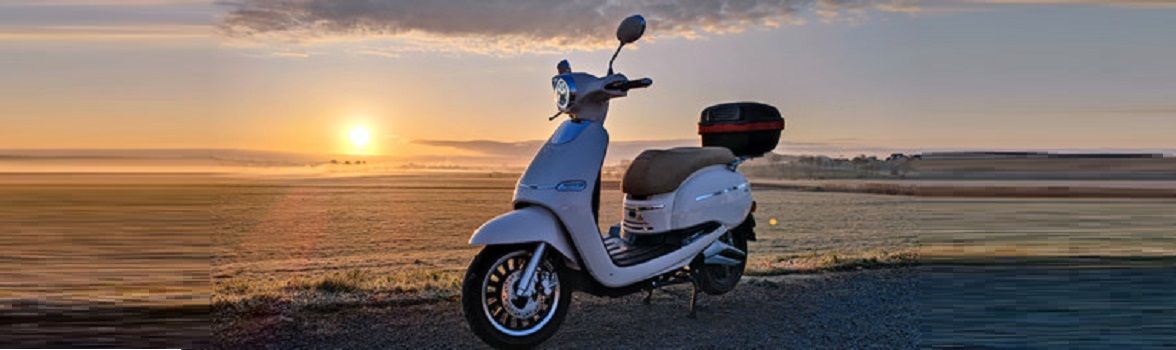 Tinbot F10 Elektroroller Sonnenuntergang