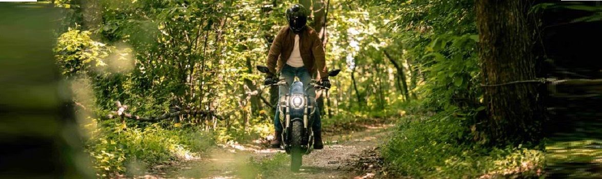 Elektroroller Vmoto TC Wanderer