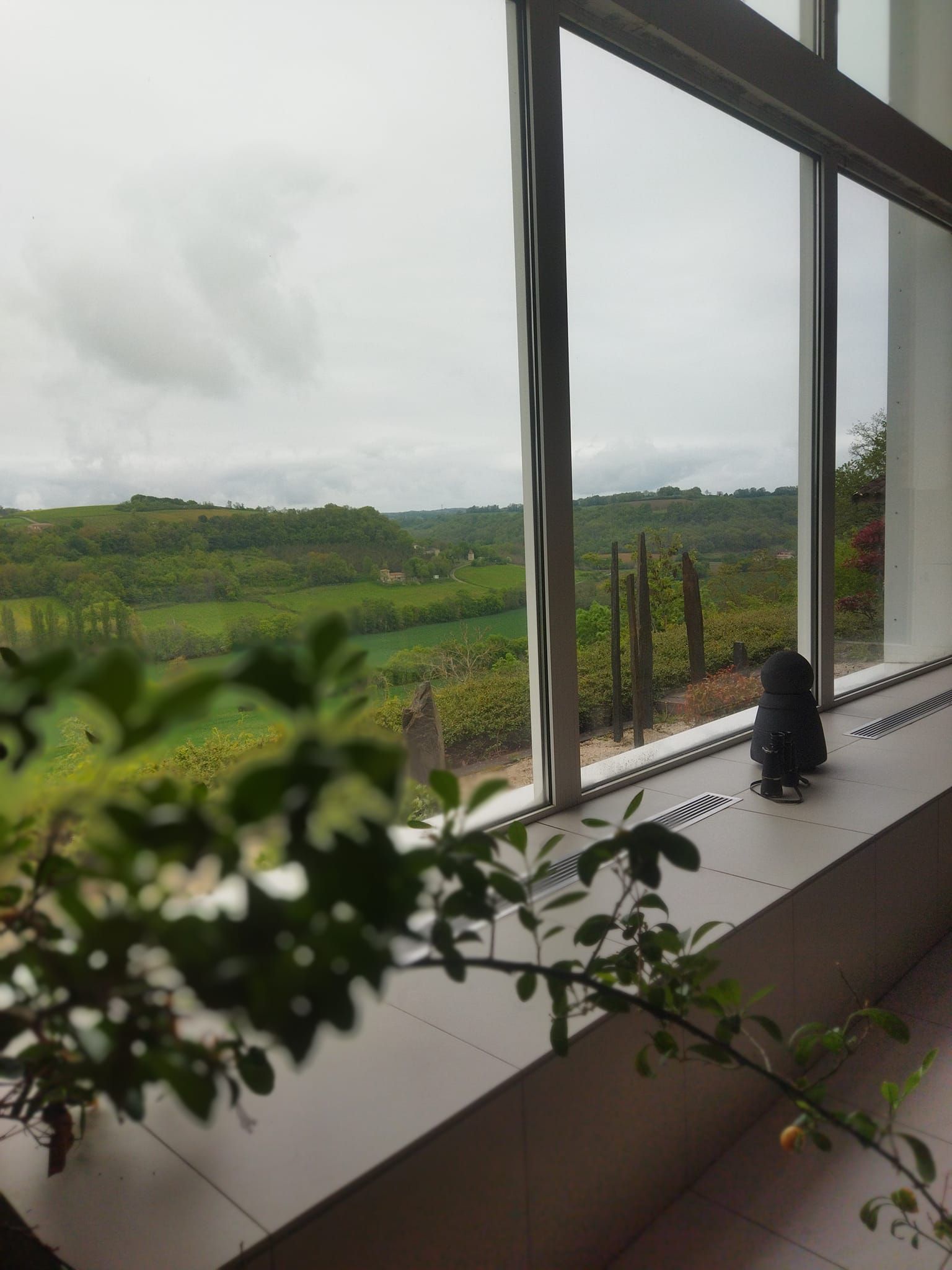 Le centre Nimra aide à se connecter à l'énergie de vie