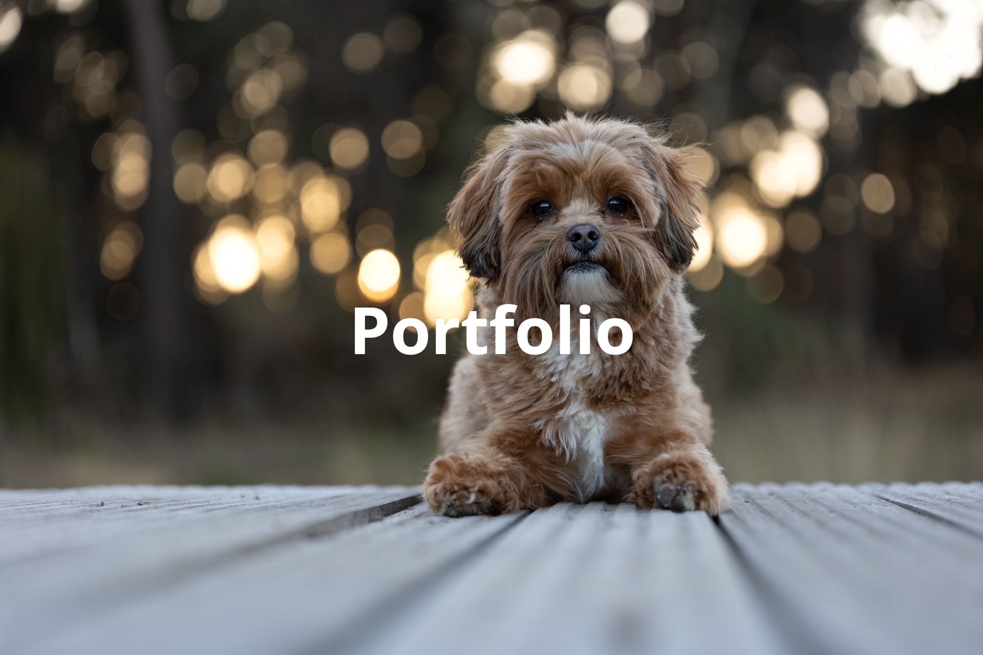 Hier geht es zu meinem Portfolio. Hier geht es zu meinem Portfolio.