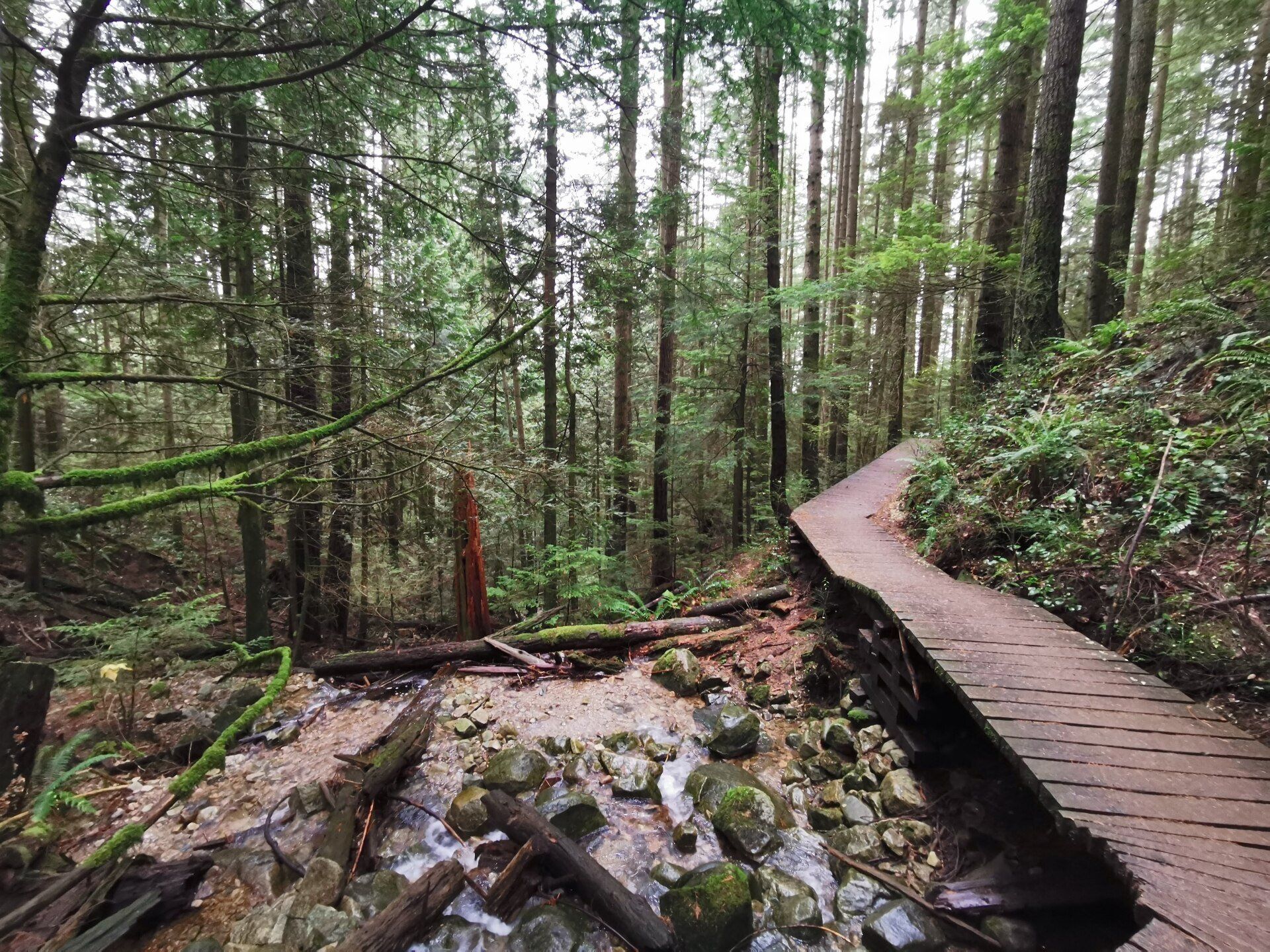 St. Mary's Trail St. Mary's Trail