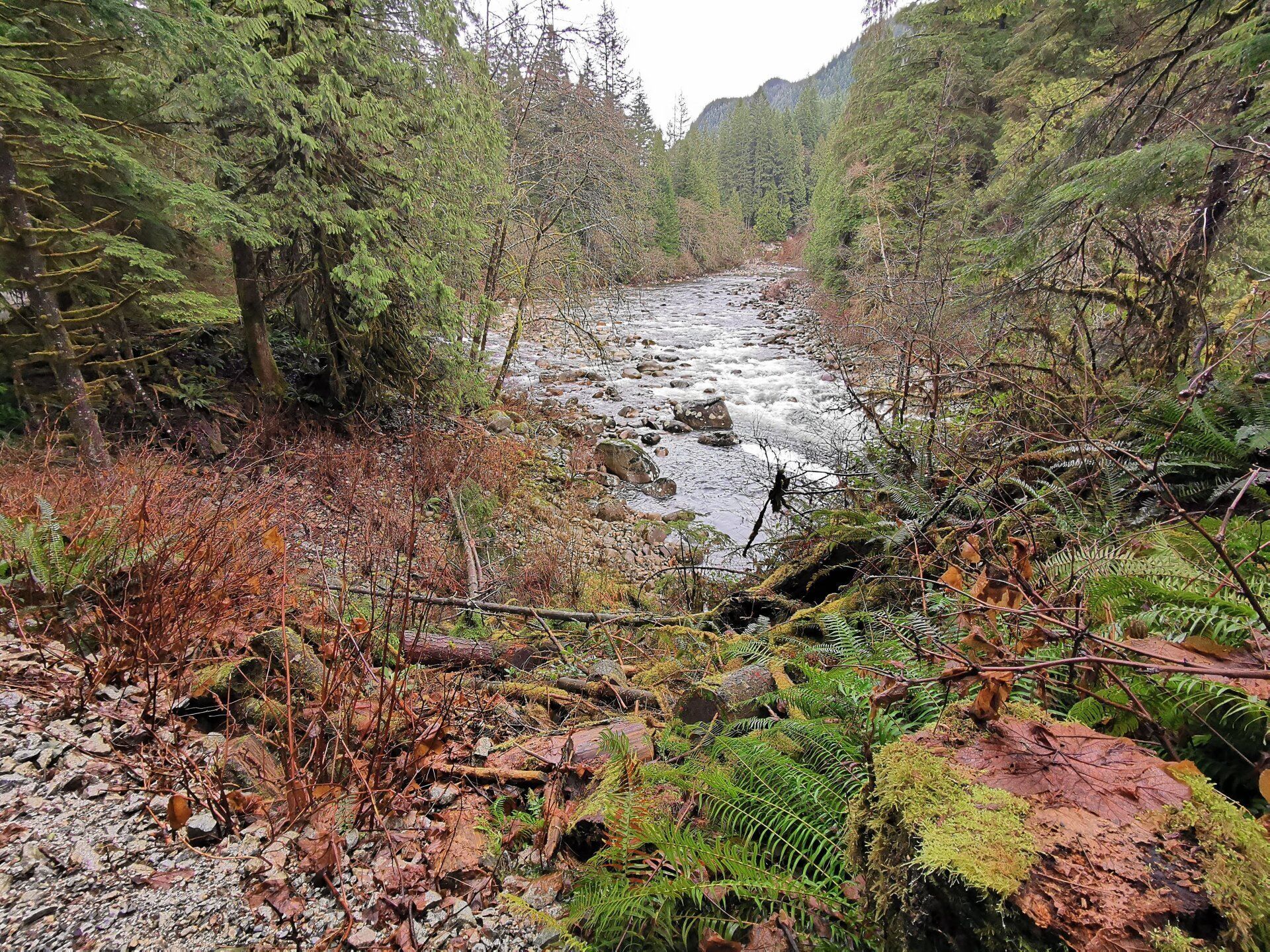 Fisherman's Trail Fisherman's Trail Running Path