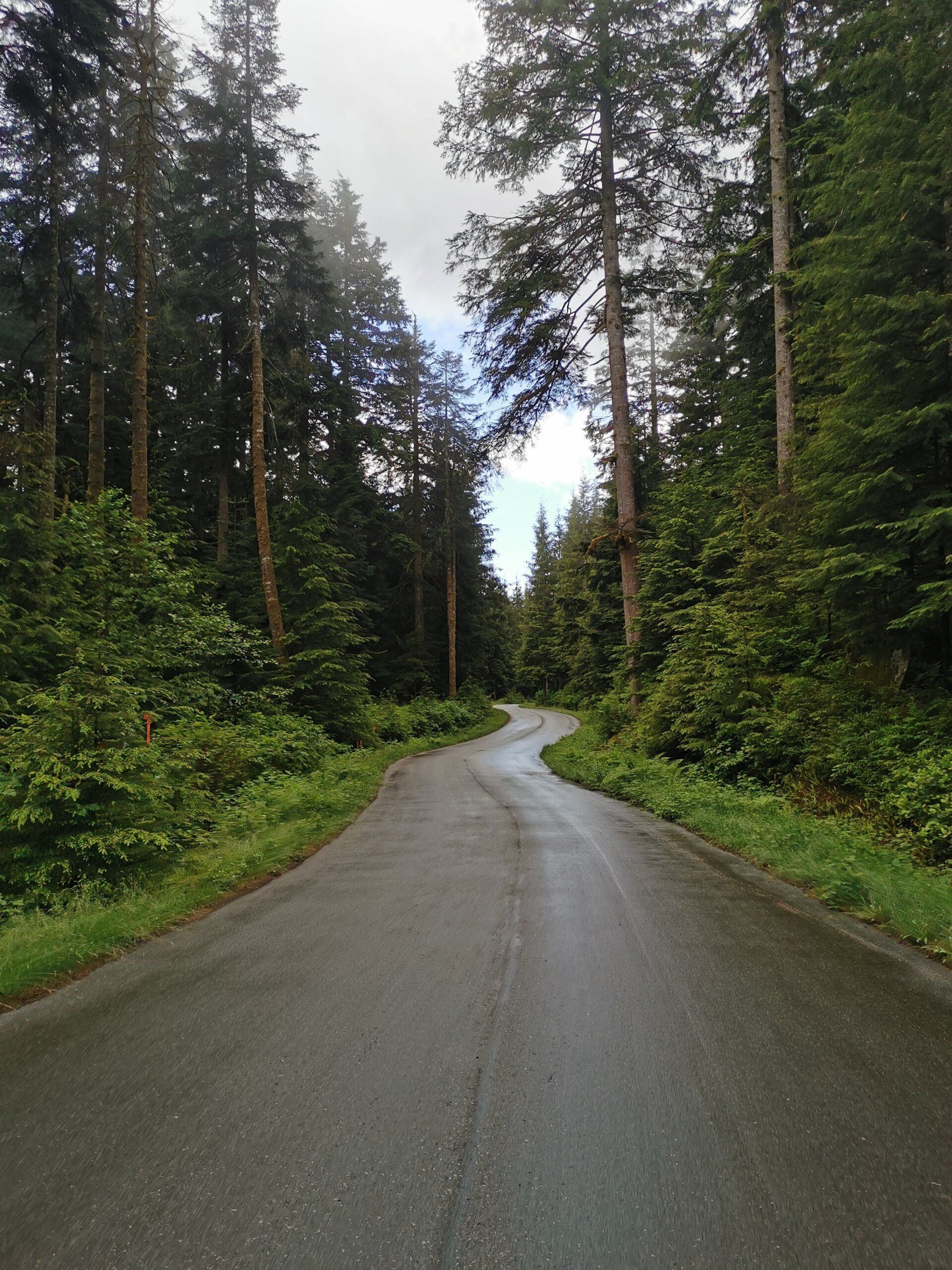 Seymour Demonstration Forest Biking Seymour Demonstration Forest Trail Biking