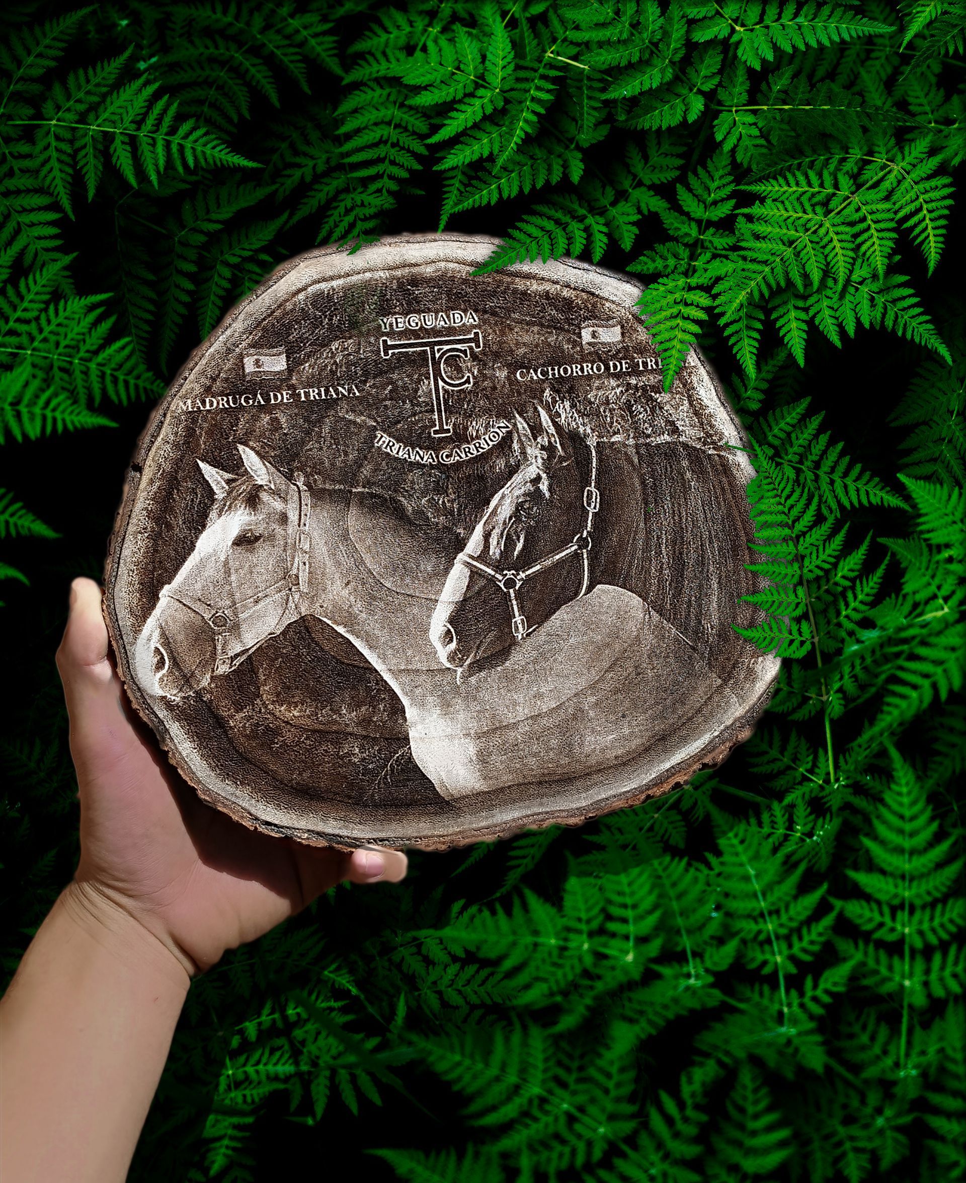 Rodaja de madera personalizada con la fotografía de dos caballos juntos.