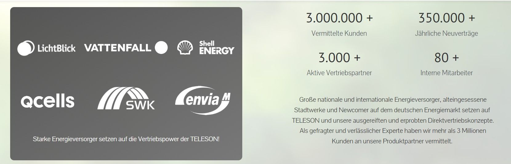 Vertragspartner Teleson