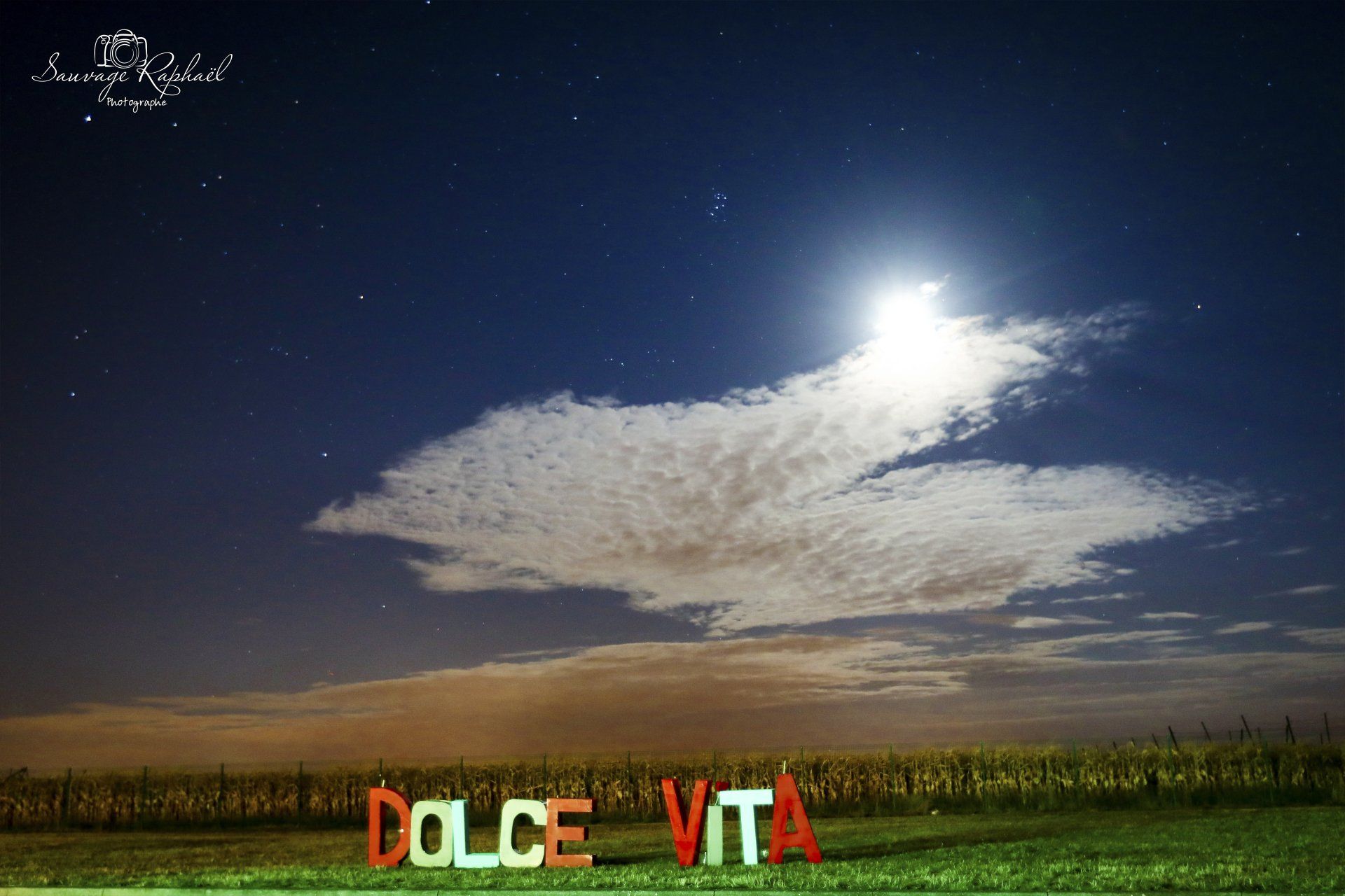 mariage,sauvage raphael,photographe, alsace,strasbourg,haguenau,Photographe,professionnel,famille,mariage,portrait,strasvourg,rosheim,alsace,photobooth,mulhouse,sauvage,raphael,naissance,bapteme,anniversaire,couple,séance,photo,bois,rose,blé, photo, marrante, photographe,bas,haut,rhin,moselle,67,68,54,57