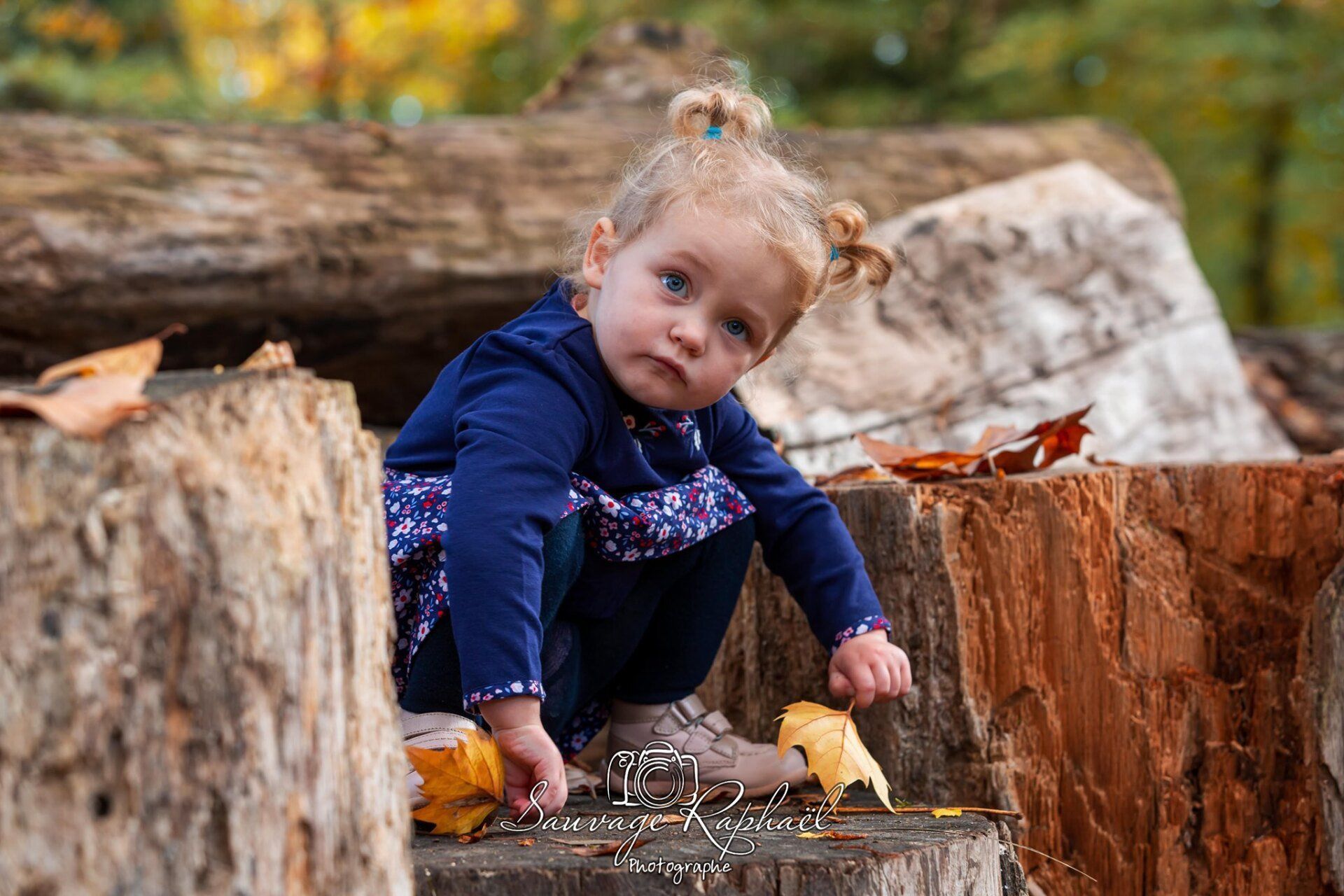 carte cadeau strasbourg, séance photo strasbourg, séance photo carte cadeau, offrir une carte cadeau, carte cadeau saint valentin, carte cadeau famille, carte cadeau shooting, carte cadeau noel, bon cadeau strasbourg, bon cadeau noel strasbourg, bon cadeau séance photo strasbourg, bon cadeau séance photo, cadeau surprise, cadeau surprise strasbourg,  cadeau alsace, séance photo surprise, séance photo carte cadeau, carte cadeau fetes des meres, carte cadeau anniversaire, carte cadeau naissance, carte cadeau mariage, carte cadeau grossesse, séance photo grossesse, séance photo enfant, séance photo maternité, séance photo dans les bois, carte cadeau fete des peres, enterrement de vie EVJF, enterrement de vis EVJG, carte cadeau saint valentin, carte cadeau naissance, carte cadeau fiançailles, carte cadeau bapteme, babyshower, séance photo famille strasbourg, babyshower strasbourg,