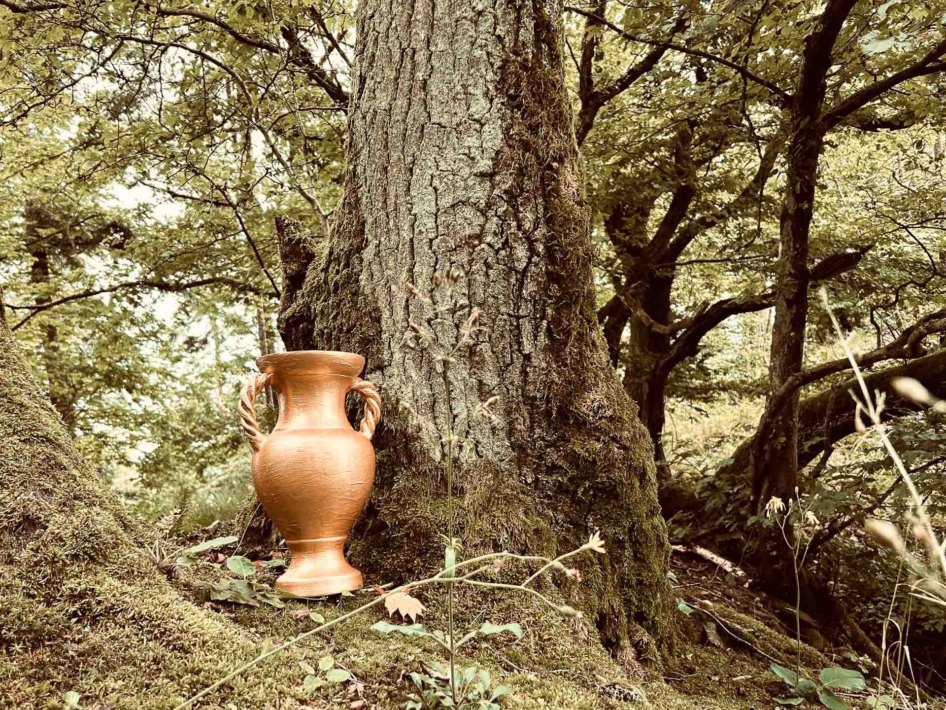 Fotografie: Doris Schnorbach Die Herausforderung annehmen