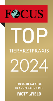 Top Tierarztpraxis 2020 - Focus