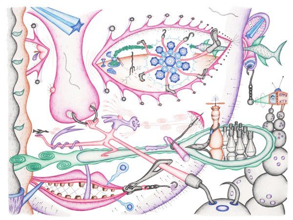 Primitive Culture Recieves Alien Message Primitive Culture Recieves Alien Message