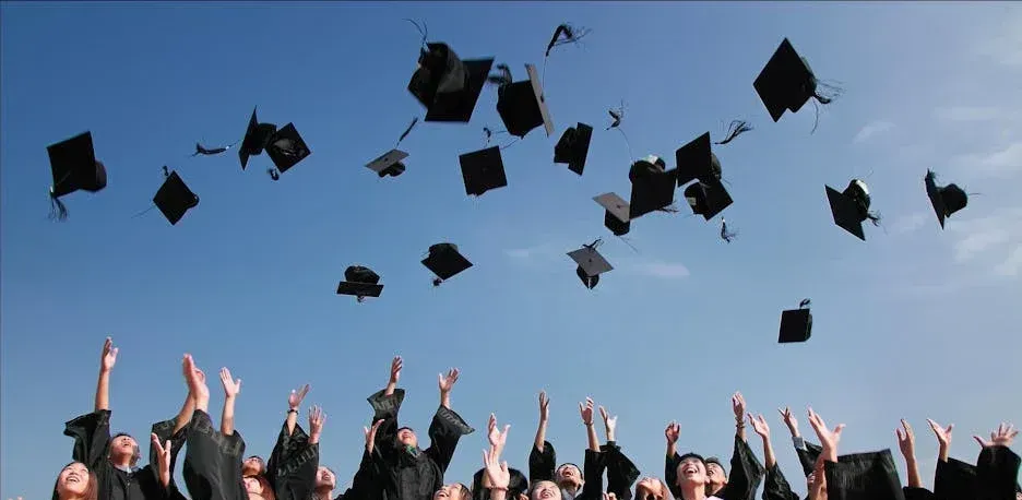 Erfahrung, Master of Science in Ayurveda-Medizin