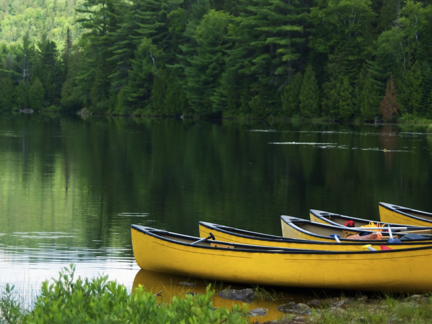 Hausbootrouten in Kanada, flusslandschaft mit kanus