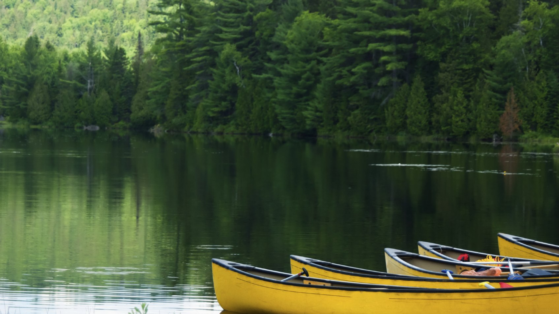Hausbootferien in Kanada, Blick auf den Rideau Canal