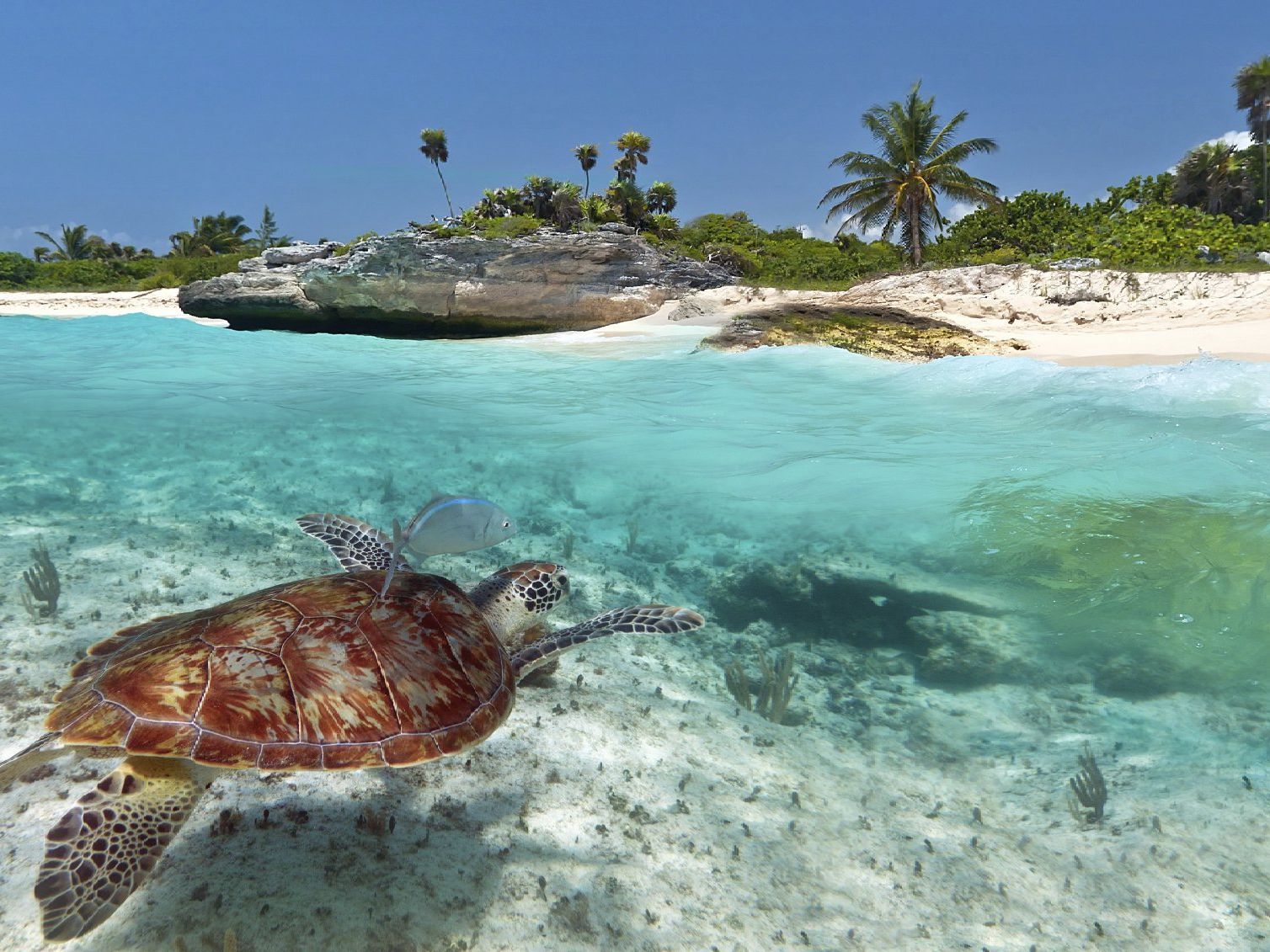 Yachtcharter Karibik buchen