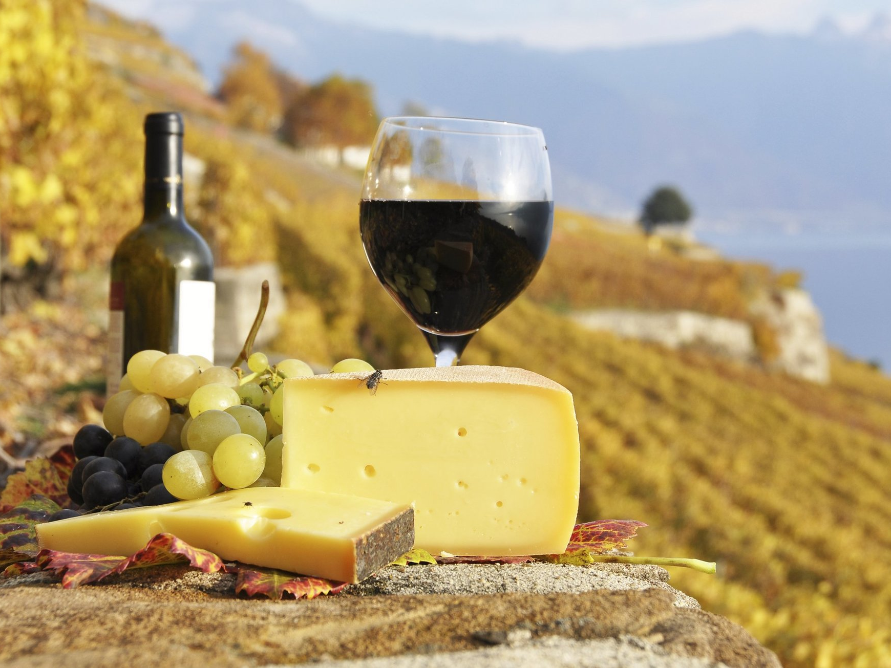 Hausbooturlaub in Frankreich, Blick auf eine Wein-Käse Aragement