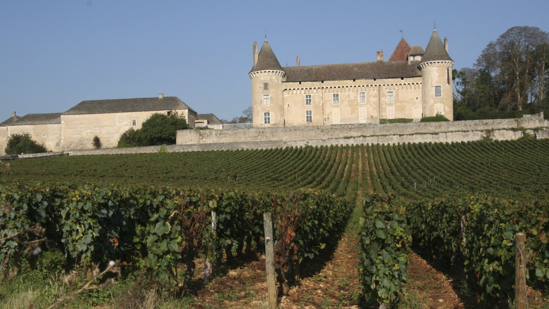 Hausbootferien im Anjou, Blick auf Schloss und Weinberg