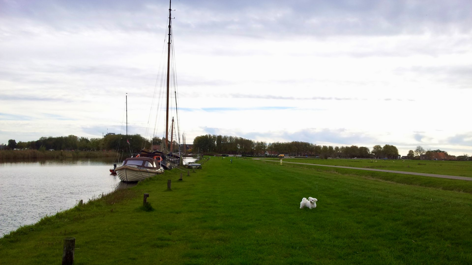 Hausbooturlaub in Holland, Blick auf Fluss und Wiese