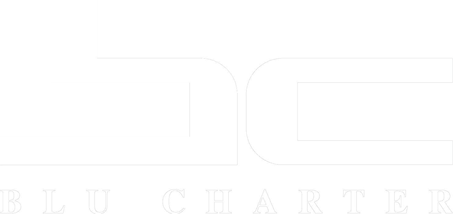 Logo der Firma Blu Charter
