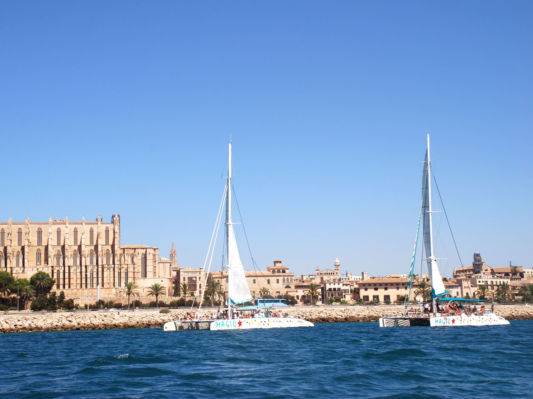 Hochzeiten an Bord eines MAGIC Catamarans buchen