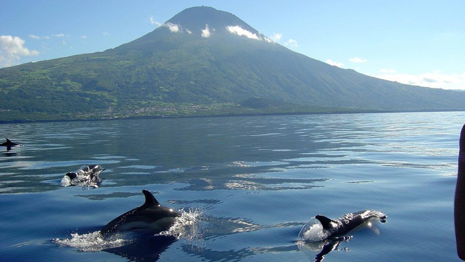 Yachtcharter Azoren