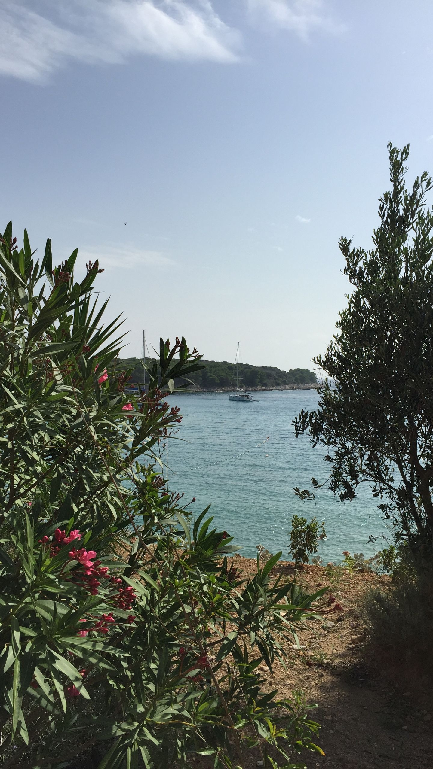 Yachtcharter ab Split, Segelyachten und Katamarane in der Inselwelt