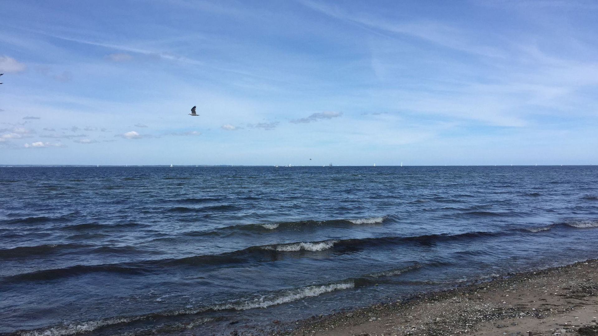 Yachcharter Dänische Südsee