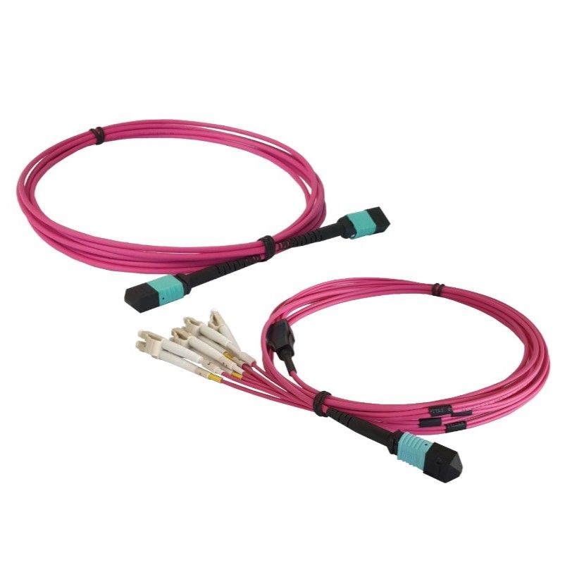 OM4 MPO Kabel violett