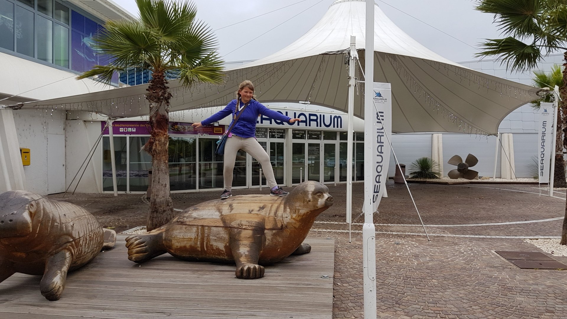 Riesenrobe aus Holz ein Kind surft darauf