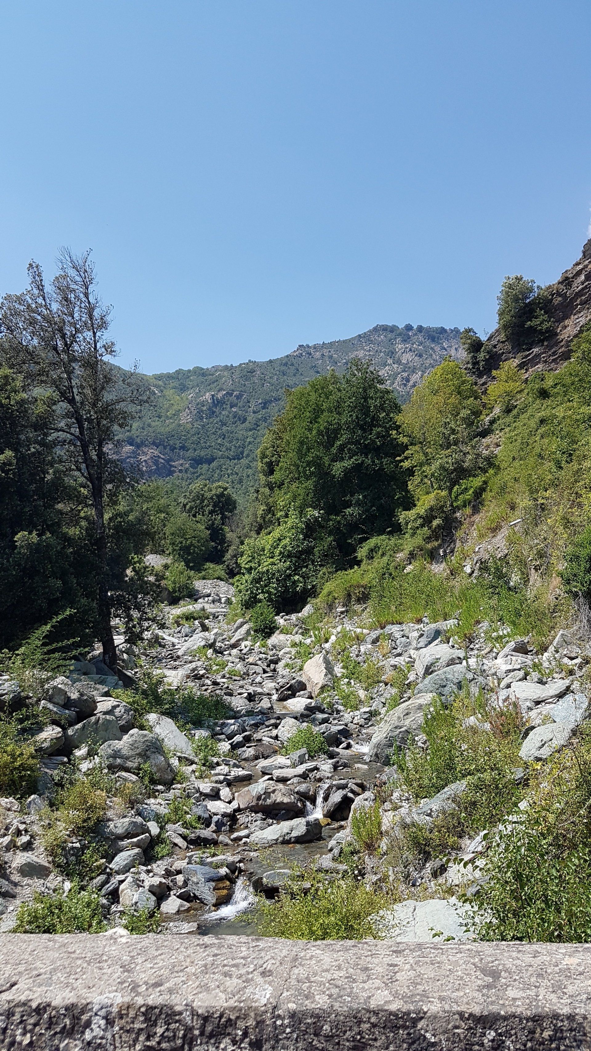 Flussbett Berge Koriska