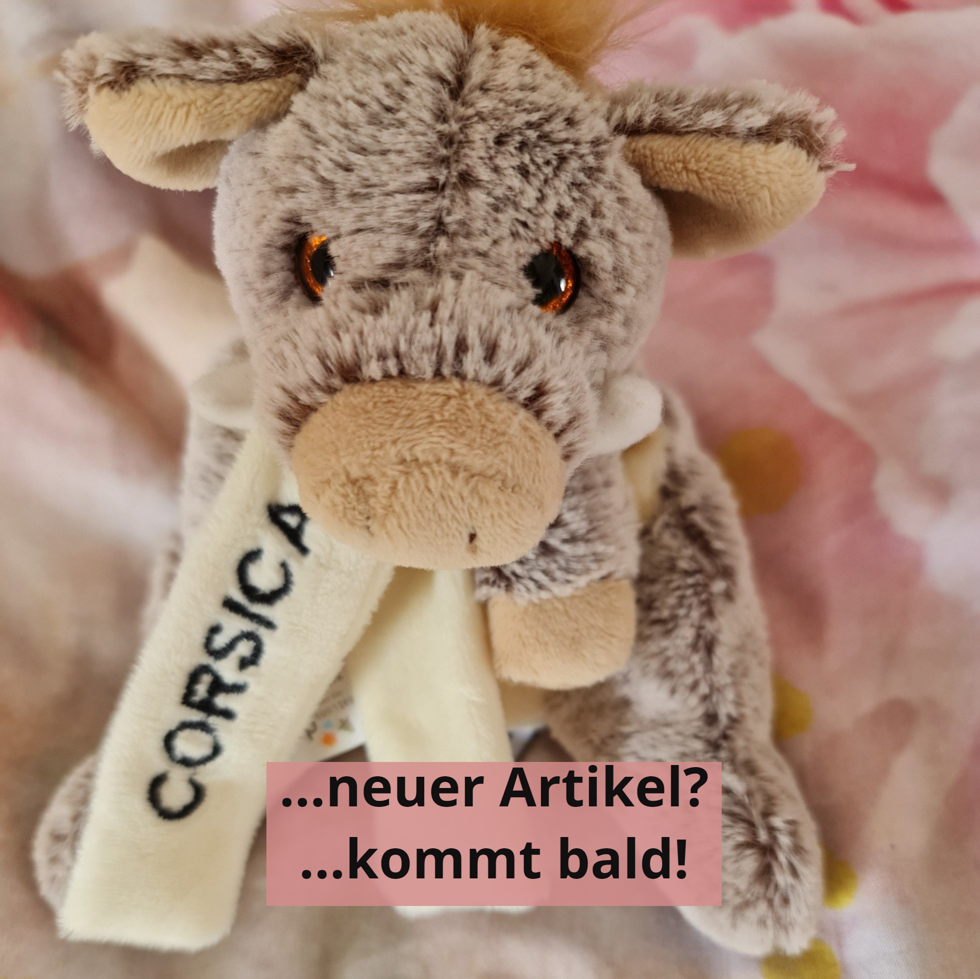 Plüschtier-Wildschwein-Korsika-