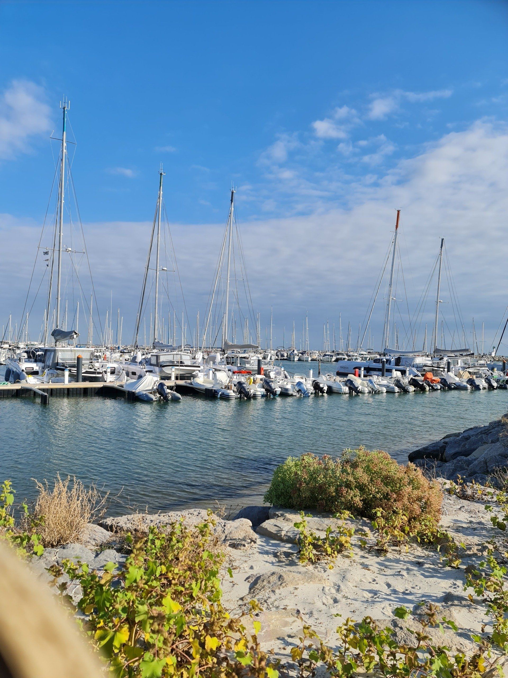 Segelboote im Hintergrund in einer Reihe im Hafen, blaues Wasser und Ufer im Vordergrund