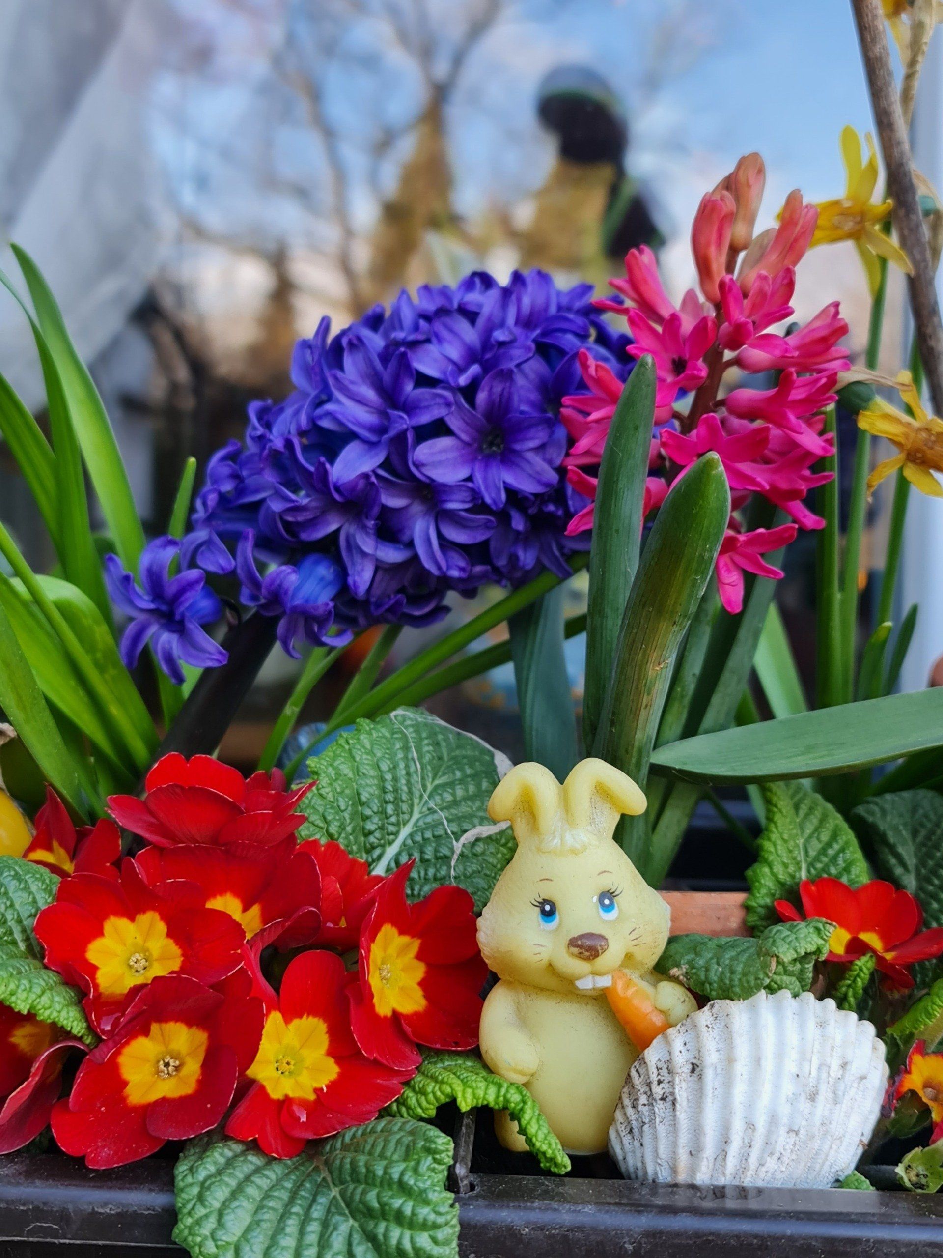 Osterhase im Blumenkasten Photo by: Viola Einert-Krug Osterhase im Blumenkasten und bunte Frühlingsblumen