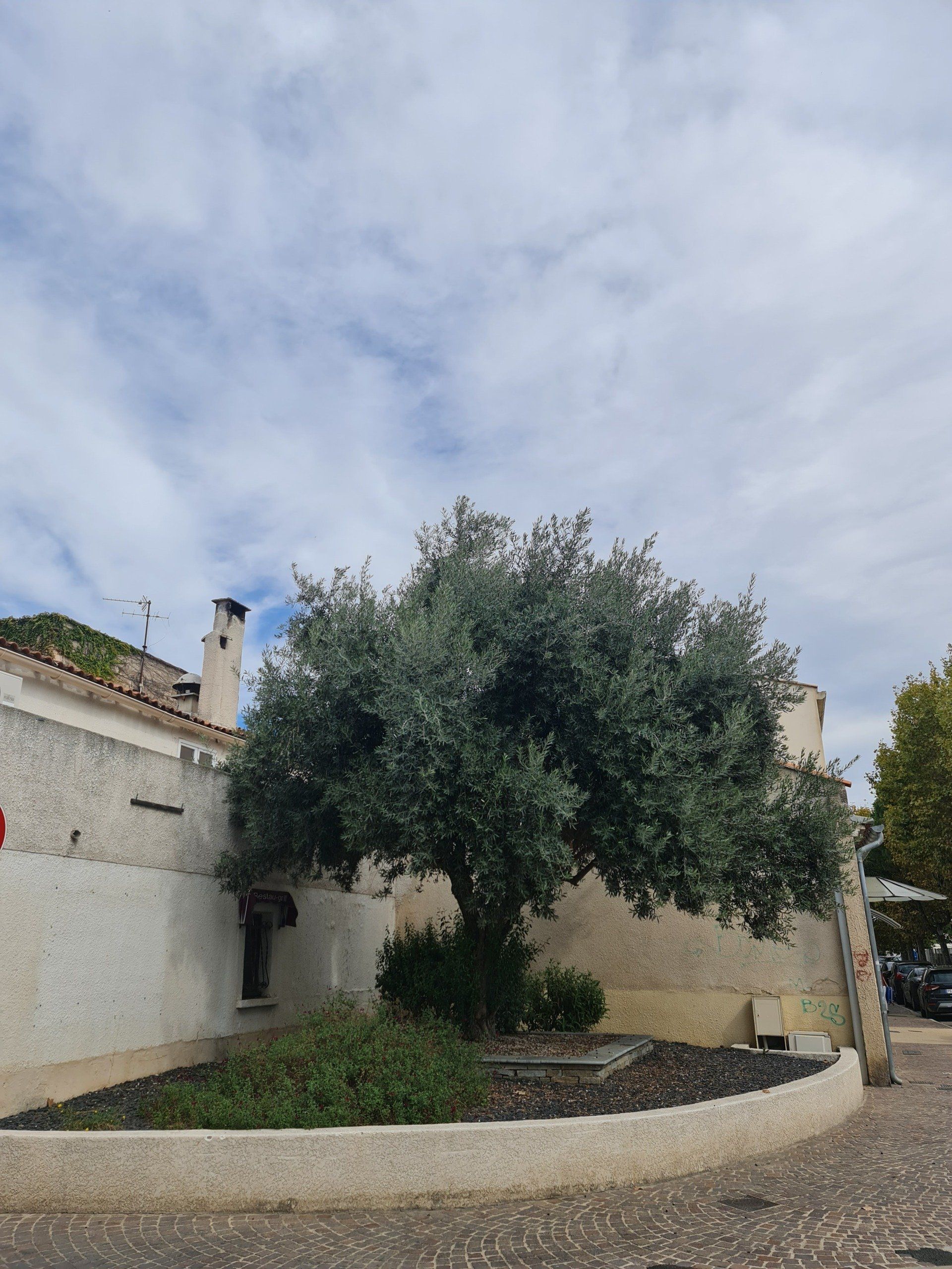 Spaziergang in Le Grau du Roi  Photo by: Viola Einert-Krug Denkmal und französische Fahnen