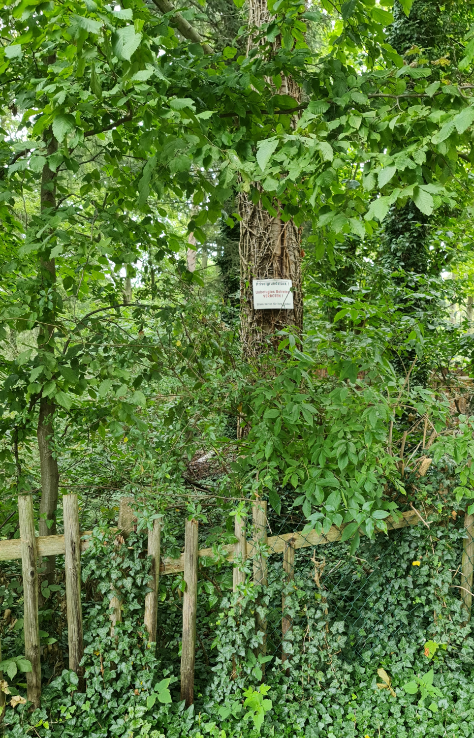 Wald und Zaun und Schild mit Betreten verboten.