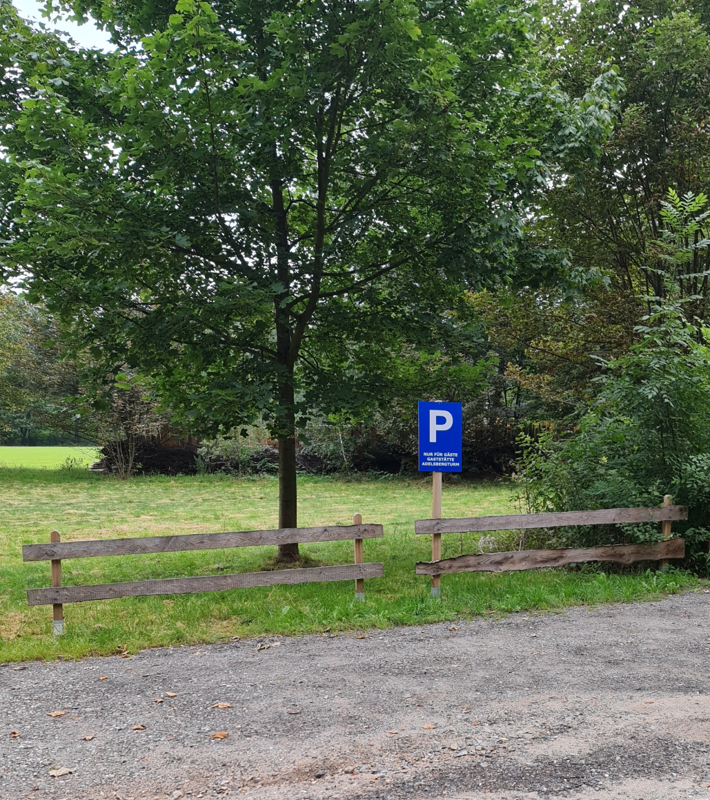 Enten im See Zwenkau