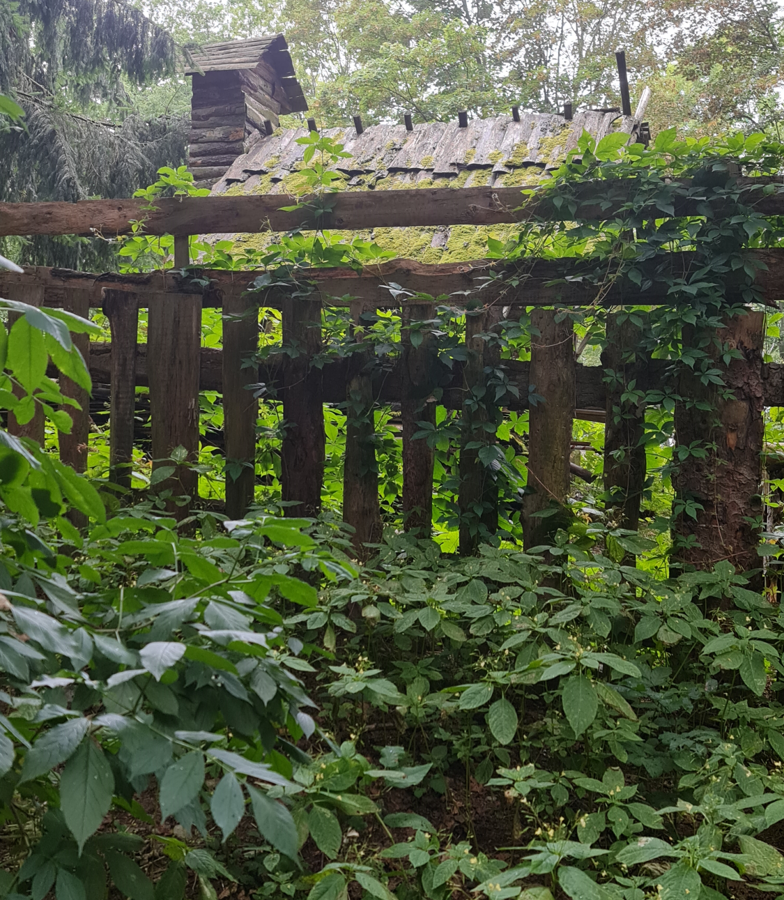 Wer wohl hier wohnt? Indianer? Leute, die das Mittelalter mögen? Interessante Geheimnisse am Adelsbergturm! Photo by: Viola Einert-Krug Holzhäuschen mit Turm hinter Blättern und Holzzaun - Fort Adelsbergturm Photo by: Viola Eineert-Krug