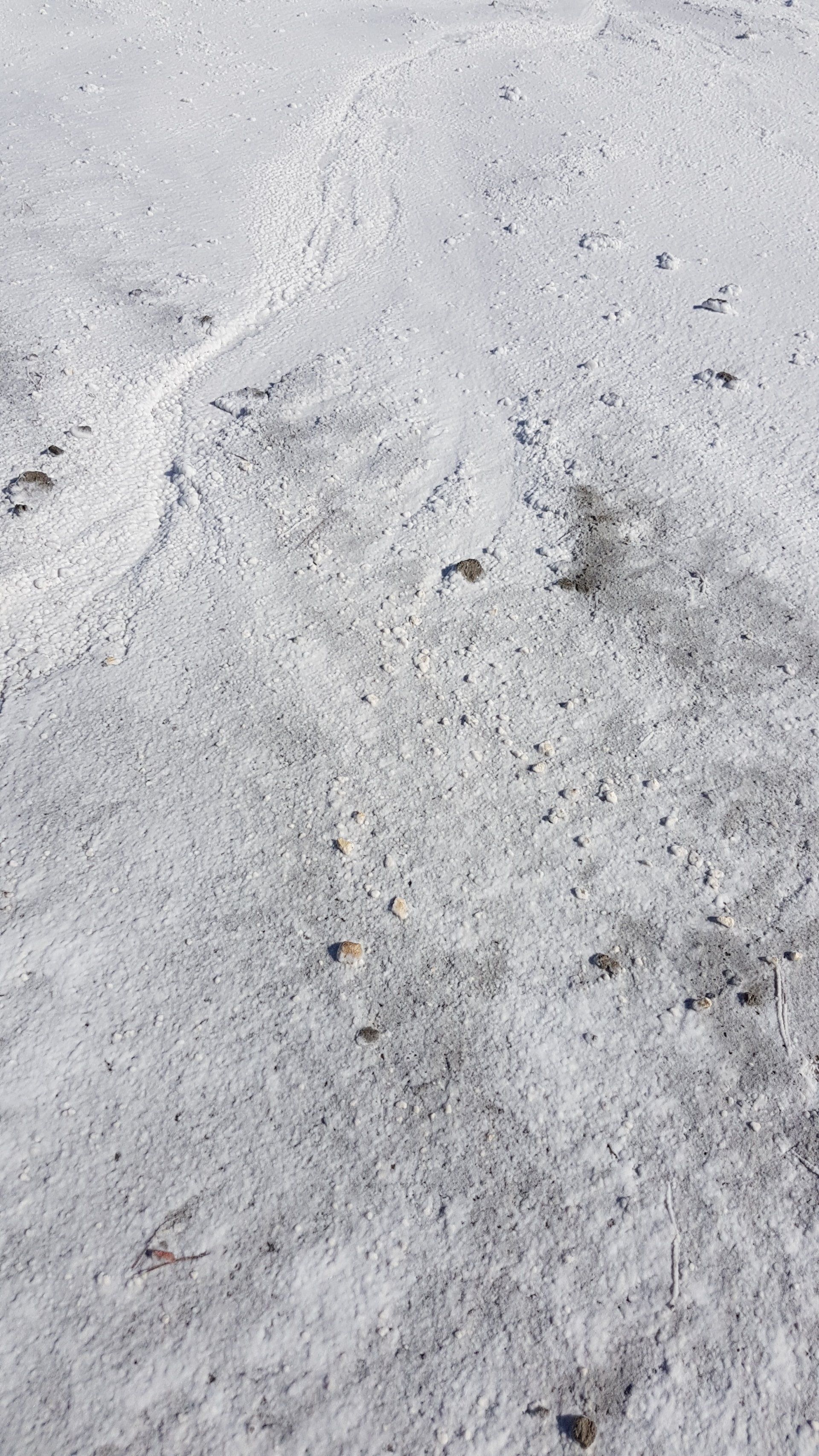 Salzweg ganz in weiß