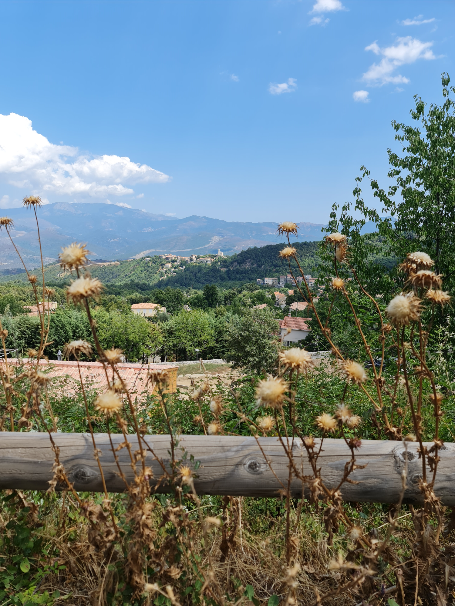 Amazing Ausblick auf die Berge - kleine Bergdörfer in Korsika - Photo by: Viola Einert-Krug Ausblick von den Bergen - Distel- Wiese- Häuser- Korsika