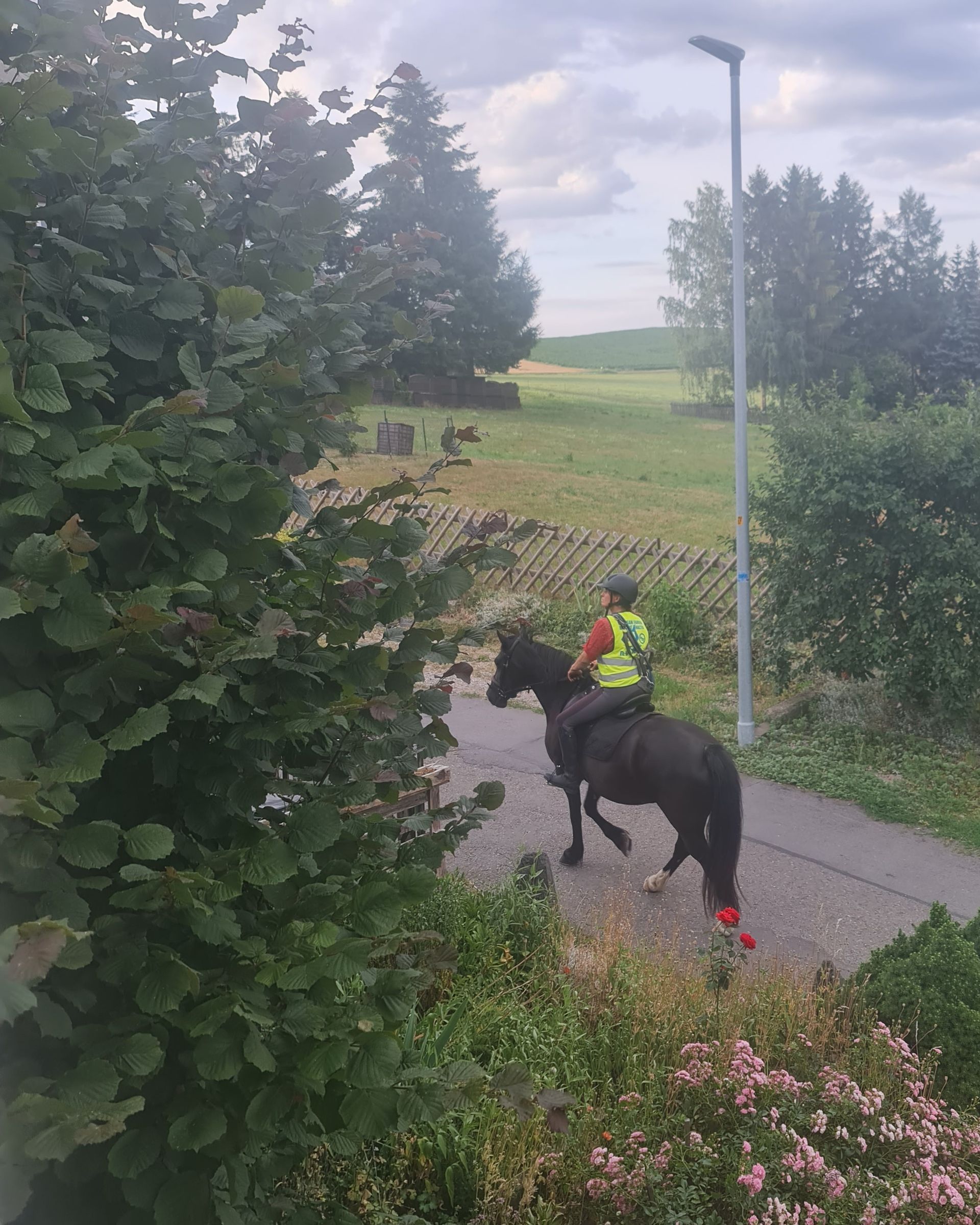 Ausritt      Photo by: Viola Einert-Krug Person auf einem schwarzen Pferd reitet einen Weg entlang