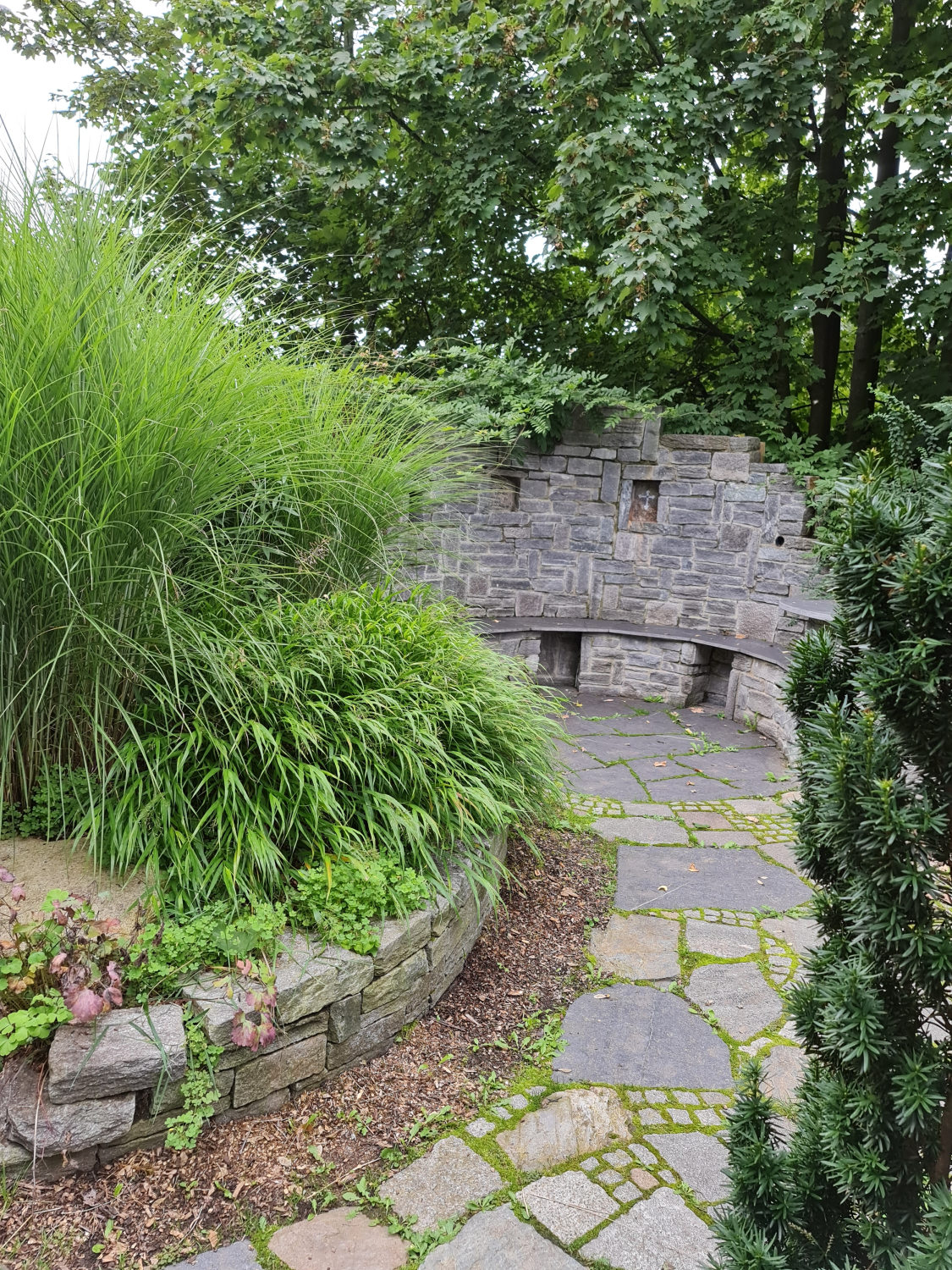 Ist es nicht romantisch? Heimliches Plätzchen im grünen Bürgerpark in Oelsnitz Erzgebirge  Photo by Viola Einet-Krug romantischer Patz im Grünen, halbrund aus grauen Steinen gebaut, Bank aus Stein unter Bäumen, mit Gräsern davor