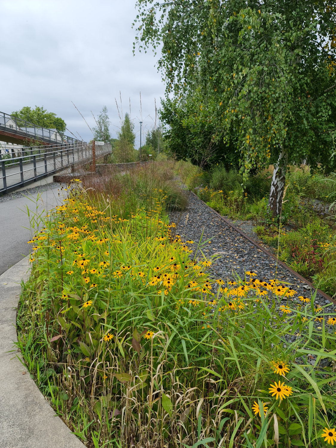 Park mit Blumen und Bäumen und einer Brücke aus Metall im Erzgebirge Oelsnitz