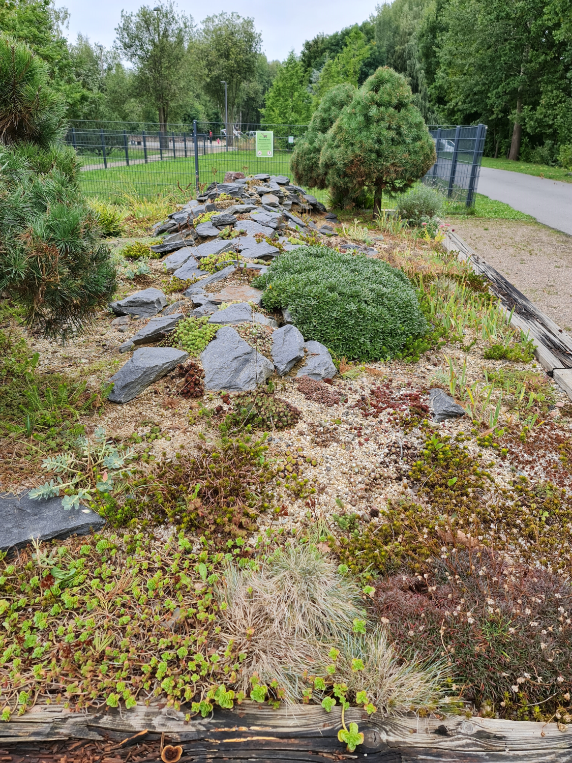 Steingarten mit verschiedenen Pflanzen vor der Hundewiese eingezäunt Photo by: Viola Einert-Krug Steingarten mit verschiedenen Pflanzen und Hundewiese eingezäunt