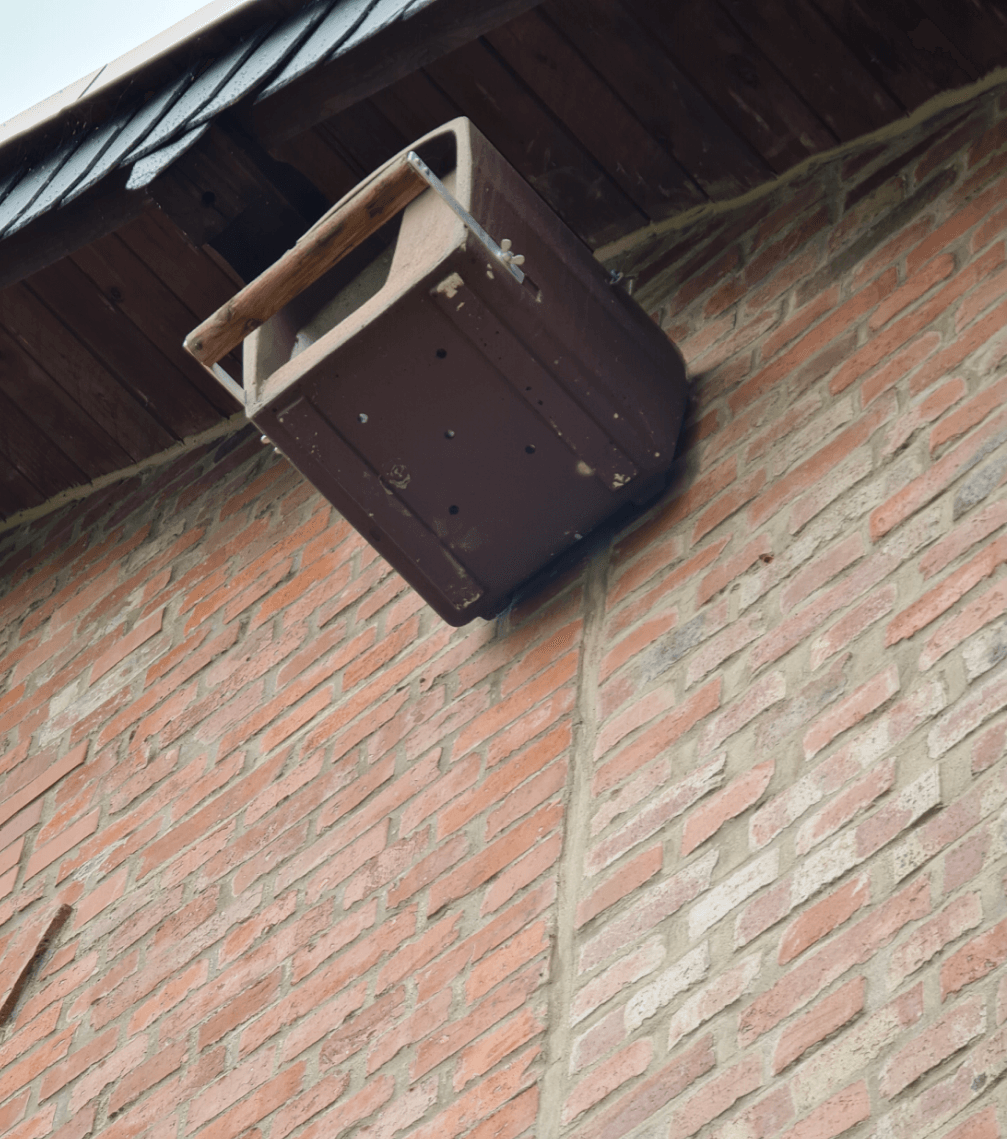 Fledermaus-Wohnung im Bürgerpark Oelsnitz im Erzgebirge Photo by: Viola Einert-Krug Kasten für Fledermäuse