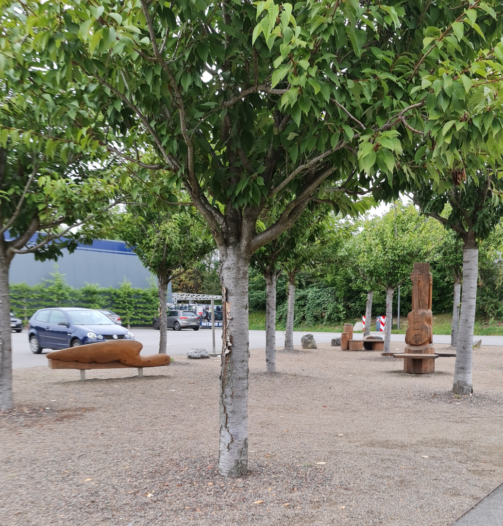 Skulpturen bestaunen und erkunden im Bürger und Familienpark Oelsnitz Photo by: Viola Einert-Krug Skulpturen aus Holz zwischen Bäumen auf Kies, im Hintergrund grüne Bäume