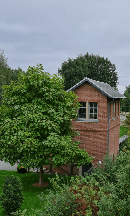 An diesem Wärterhäuschen befindet sich das Zuhause der Fledermäuse im Bürgerpark Oelsnitz Erzgebirge Photo by: Viola Einert-Krug Bahnwärterhäuschen hinter Bäumen versteckt im Bürgerpark Oelsnitz