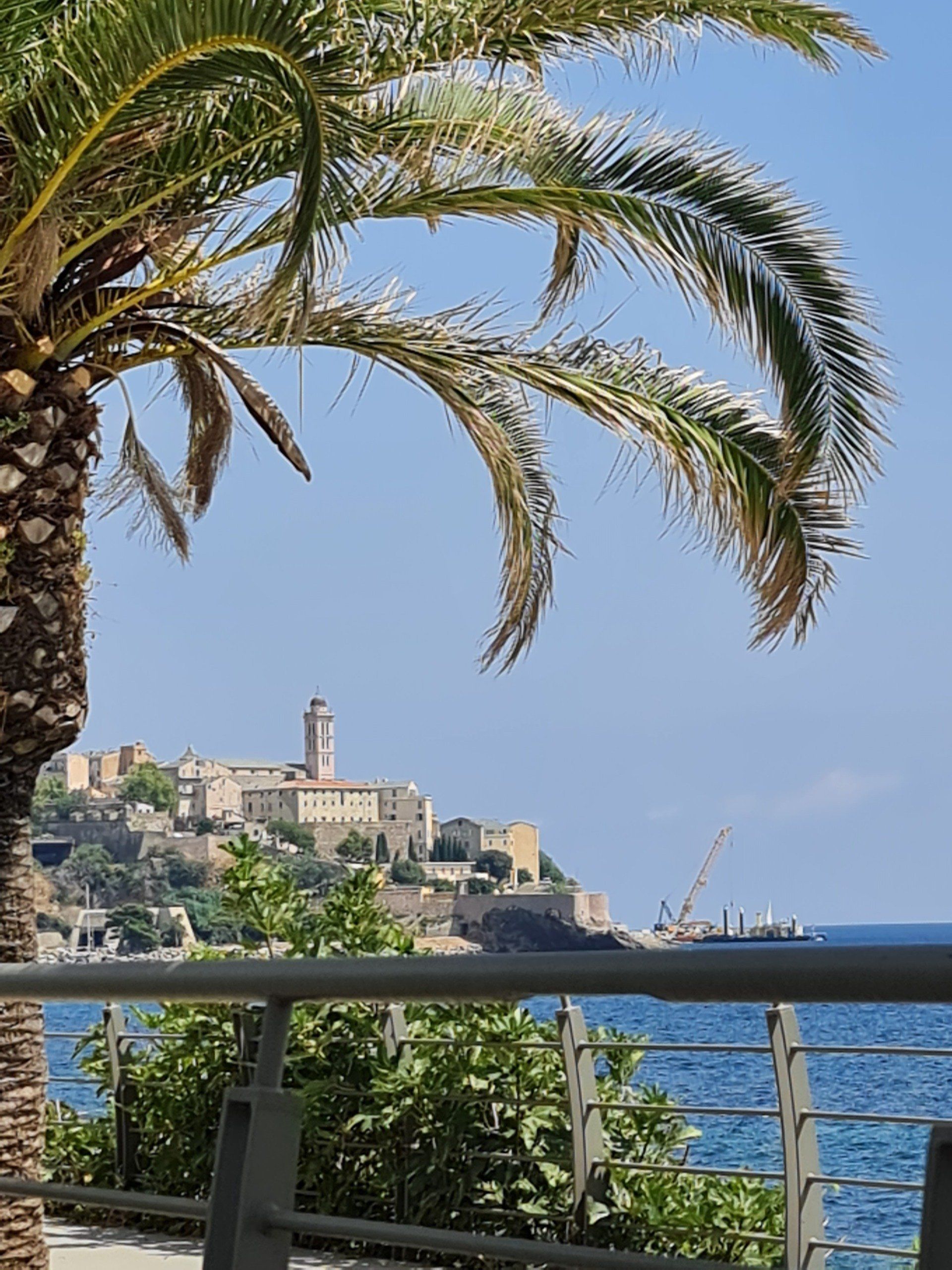 Bastia - Stadt am Meer Korsika Bastia Stadt über dem Meer auf Korsika