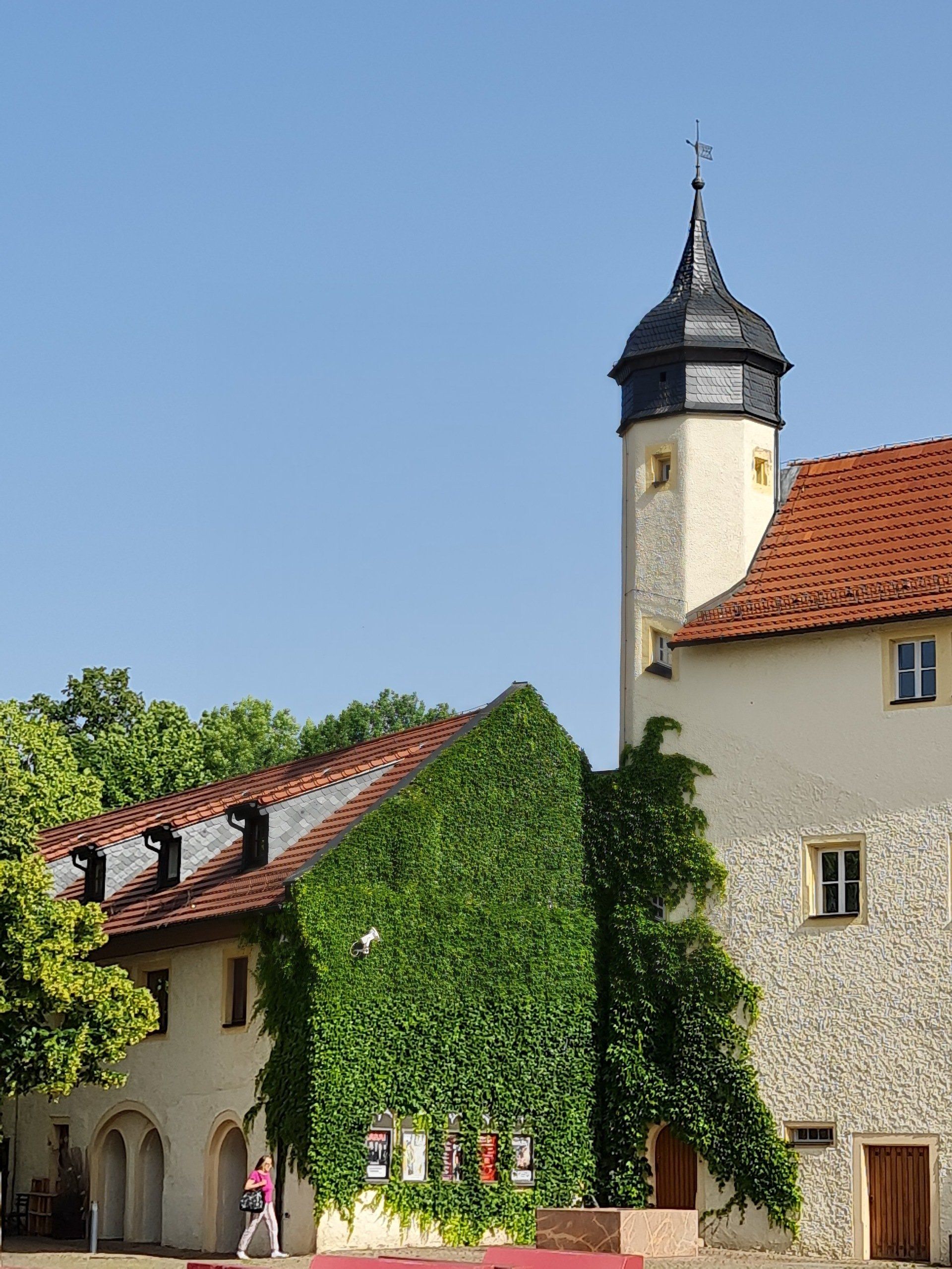 Schlossturm und Atelierhaus mit Wein bewachsen
